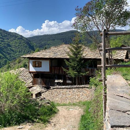 Q.Pova House Villa Kovacevica Exterior photo