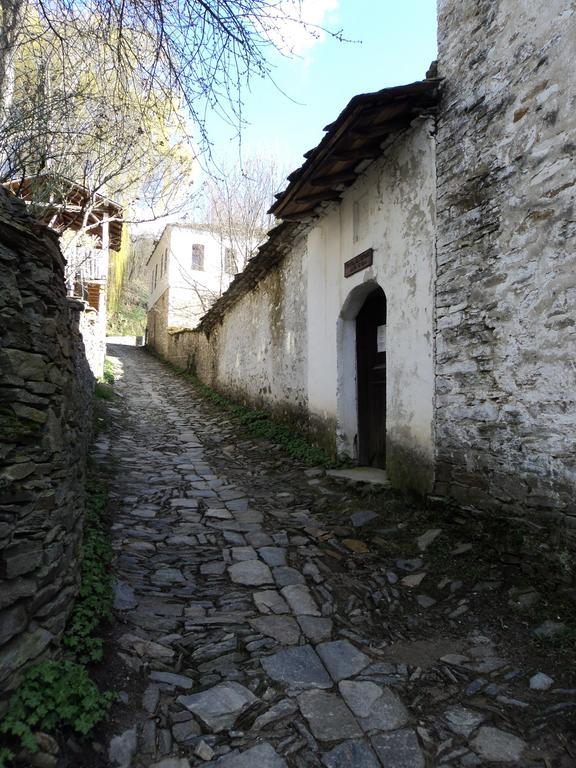 Q.Pova House Villa Kovacevica Exterior photo